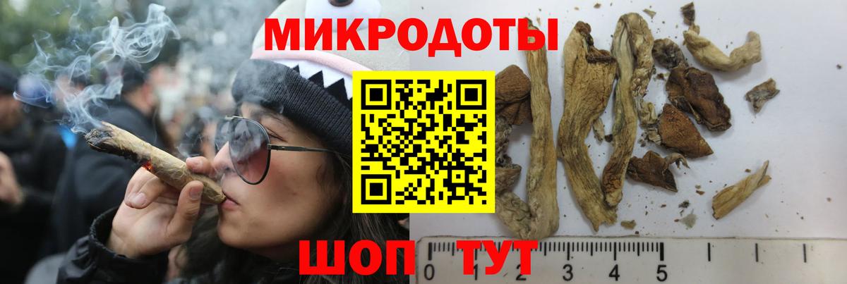 Нижний Тагил  Псилоцибиновые грибы мицелий  Вход с VPN 